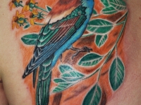 Татуировка птица с веткой на лопатке