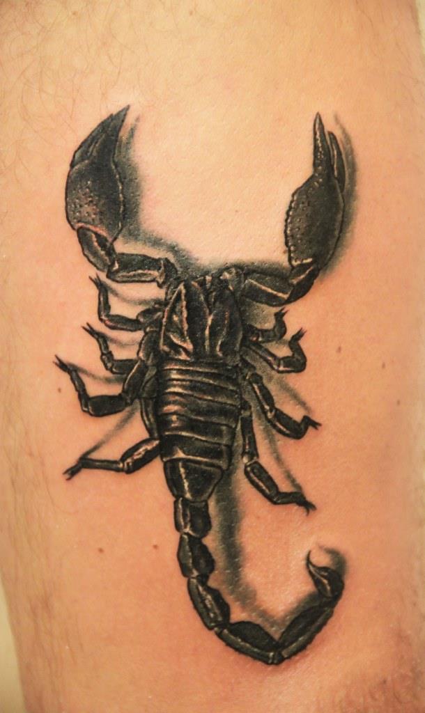 Стили и цветовые решения, которые популярны для татуировки со скорпионом